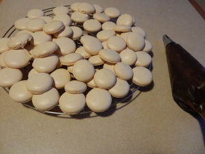 macaron